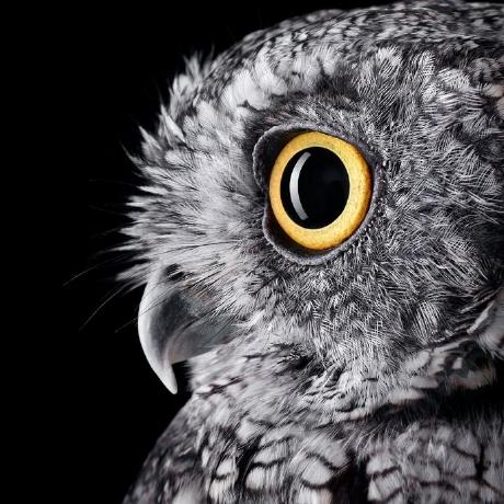 AI Agent Security Crisis: QEMU Hypervisor for Isolated Dev Workflows